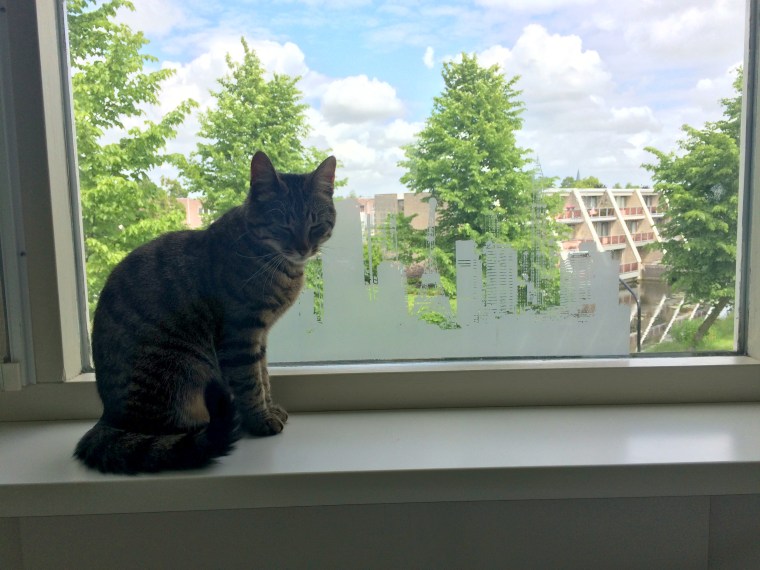 2015-06-03 14.13.38 HDR