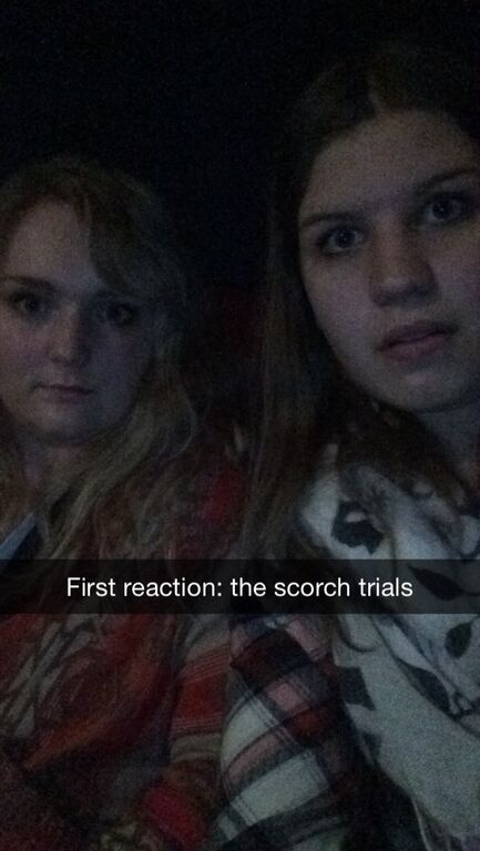 VjrPbXhODf_M8ULkDImcFZxWp5mxIEO-X5T0N4fEQ74