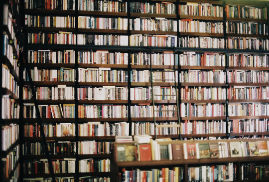 tumblr_nqwc59pUby1tmvwc5o1_540