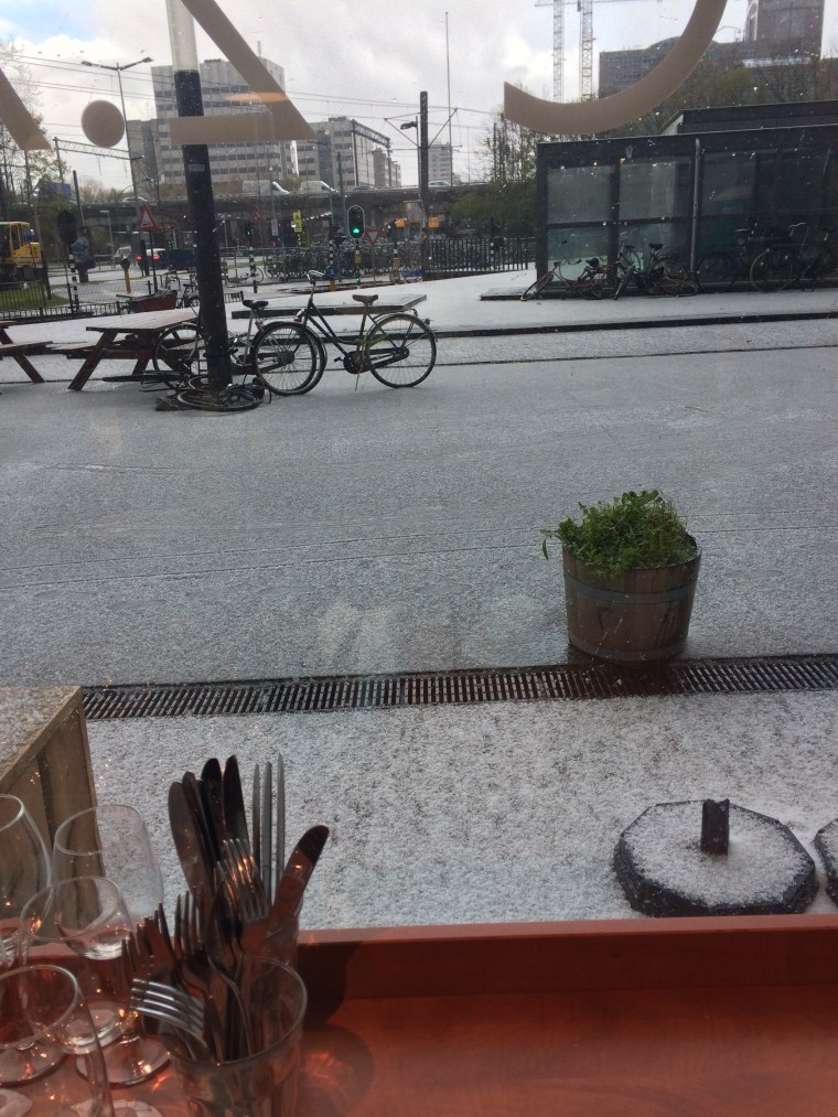 Foto 26-04-16 10 53 27.jpg