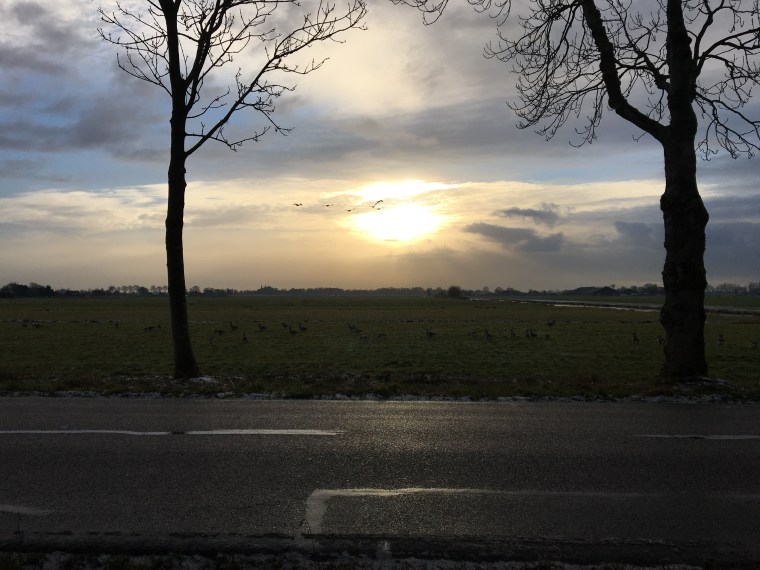 Photo 15-01-2017, 15 46 19.jpg