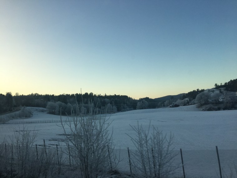 photo-26-01-2017-15-57-36