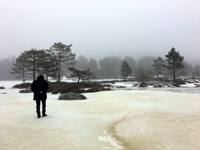 photo-27-01-2017-14-16-36