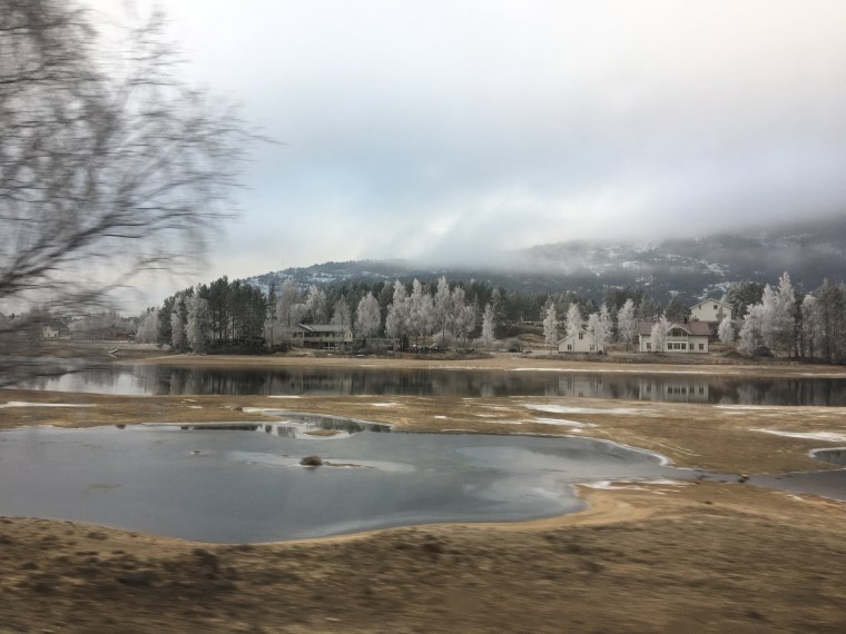 photo-27-01-2017-14-53-34