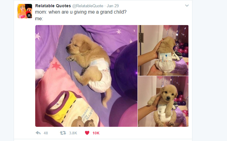 Vastleggen in volledig scherm 21-2-2017 134638.bmp.jpg