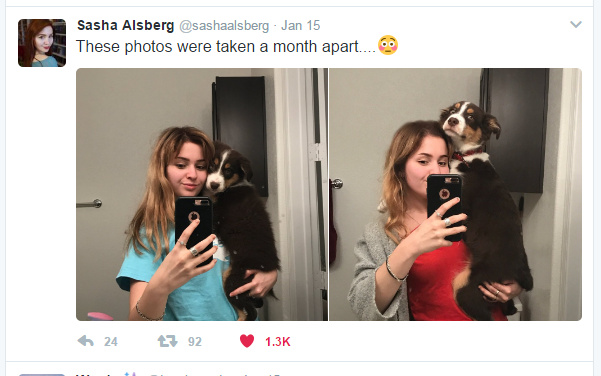 Vastleggen in volledig scherm 21-2-2017 135735.bmp.jpg