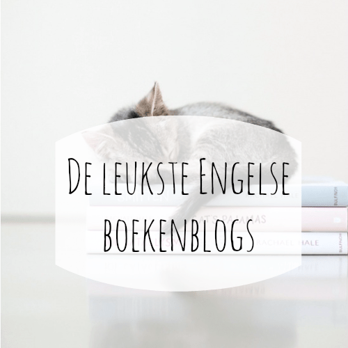 engelse boekenblogs