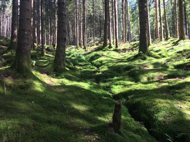 19619843_1534875713199752_950222765_o